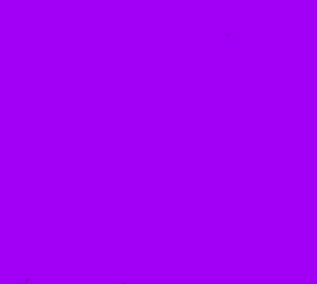 OneXillium - purple